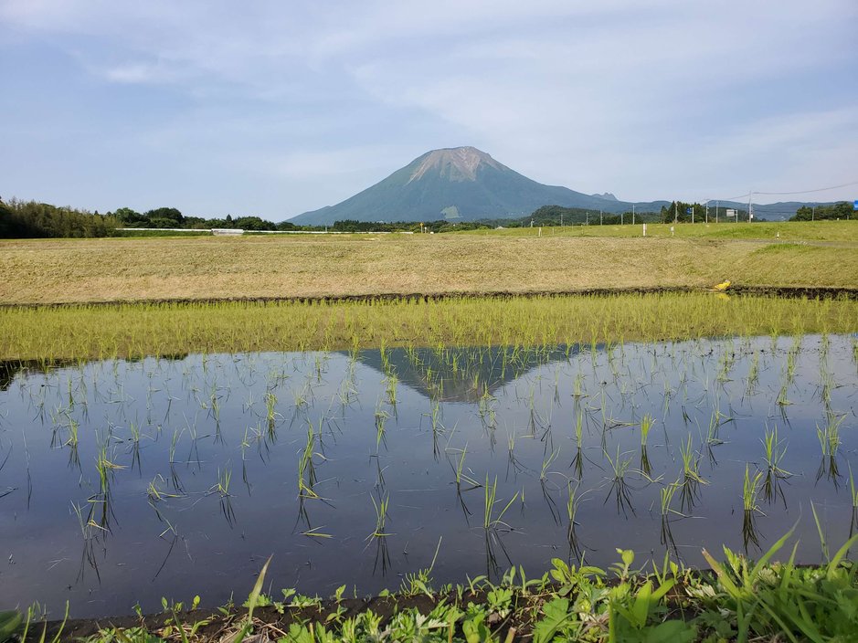 水田と大山.jpg